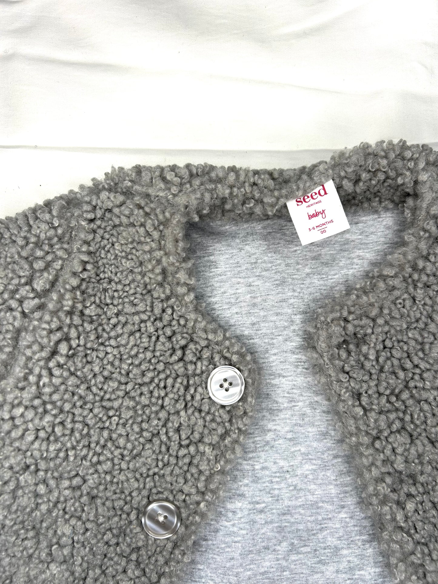 Seed Coat