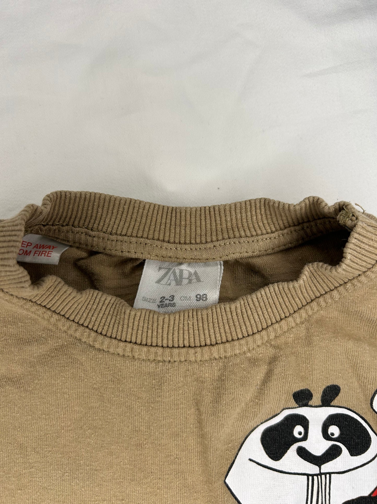 Zara Kung-Fu Panda Shirt