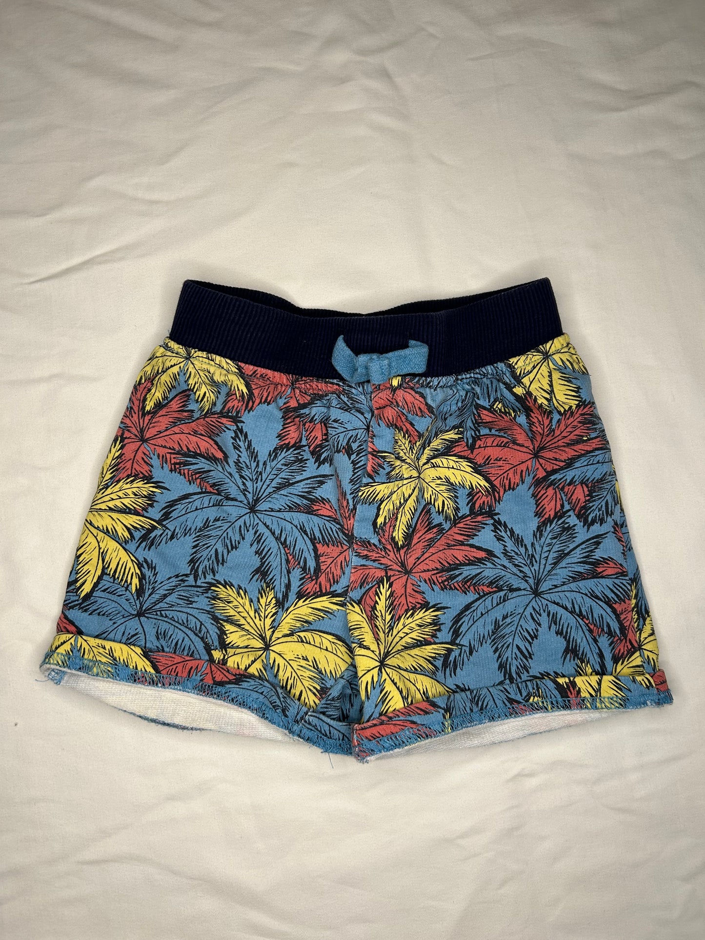 Palm Shorts