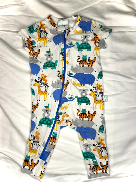 Peter Alexander Onesie