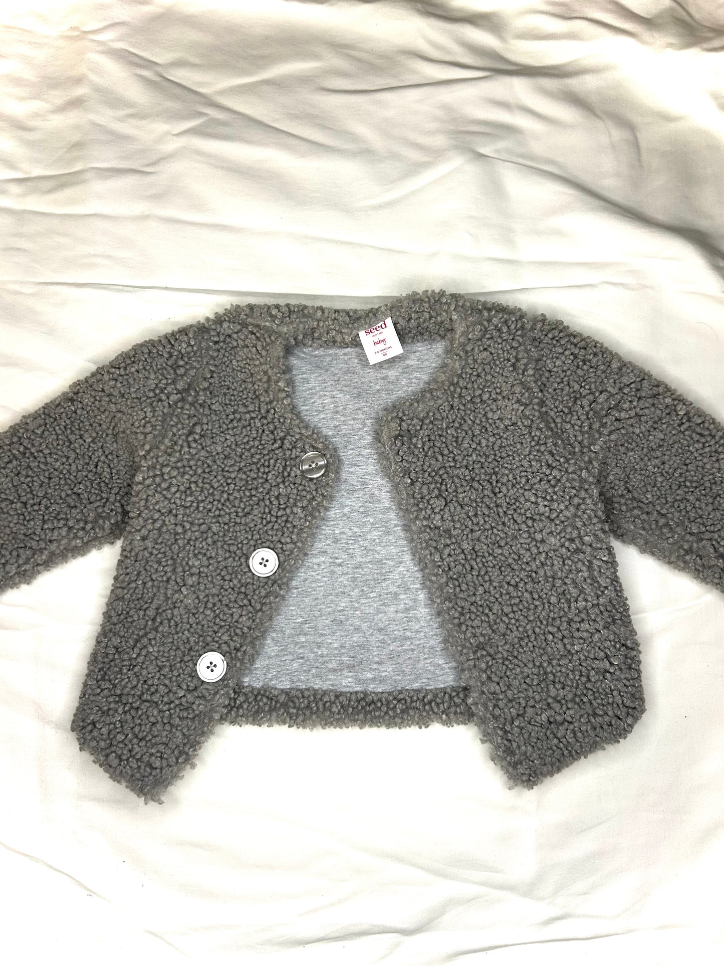 Seed Coat
