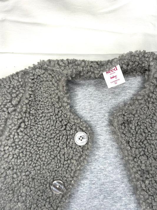 Seed Coat