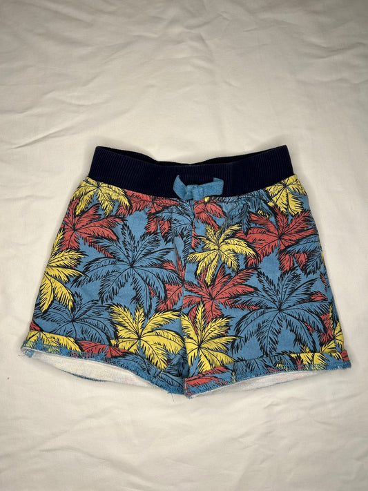 Palm Shorts