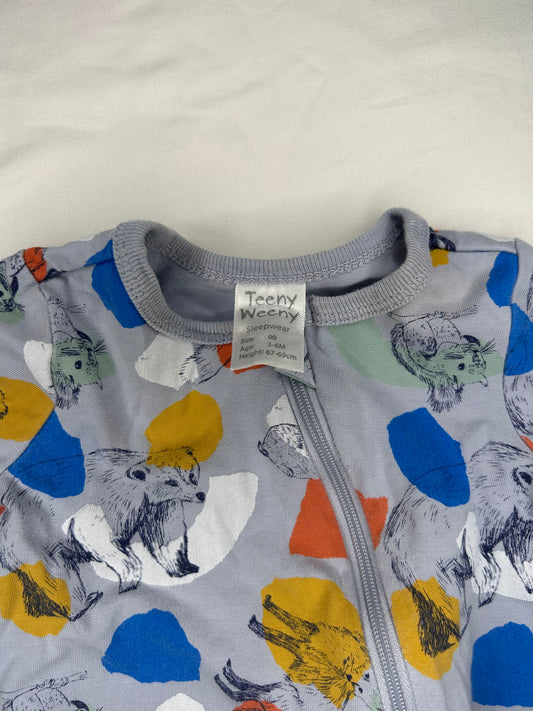 Teeny Weeney Bear Onesie